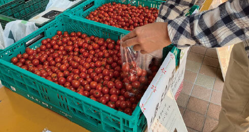 野菜販売